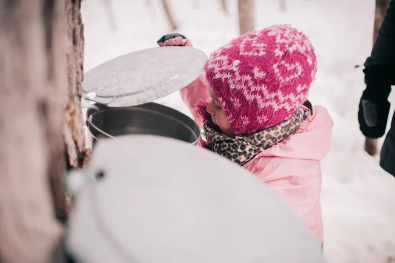 Delicious Ontario Maple Syrup Festivals and Sugar bushes